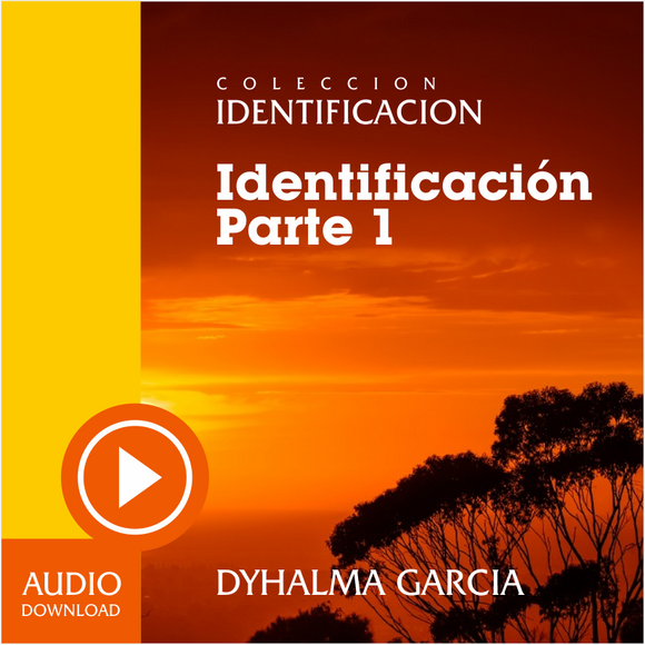 Identificacion Parte 1 (Audio) / Descarga.